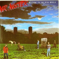 Пластинка Mr. Mister Welcome to the real world